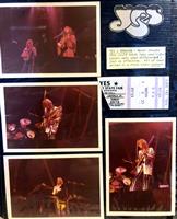Ticket Stubs